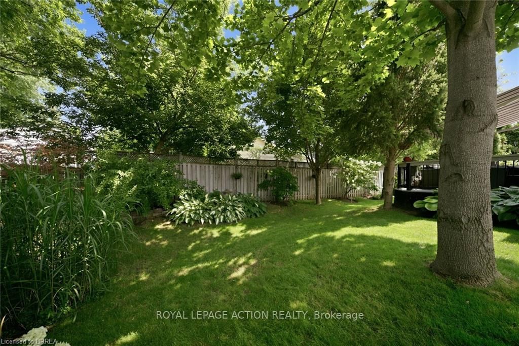 37 Mc Intosh Crt, Brantford — 37
